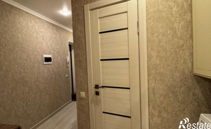 2-комн квартира ул Ефремова, 39,  д. 39